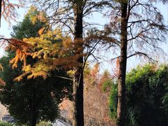 -堤角公园