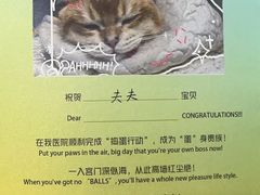 -美联众合动物医院·24h转诊中心