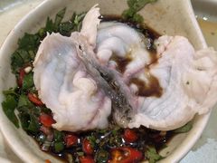-张凯达·深海石斑鱼潮汕火锅(十五年品牌•虹桥天街店)