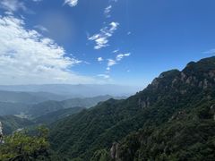 -王顺山国家森林公园