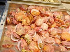 -禾斗海鲜自助(城阳宝龙店)