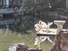 -水绘园