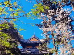 -龙华寺