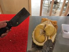 -都念榴莲·城市榴莲