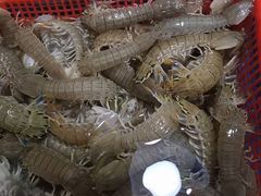 -王四营海鲜市场