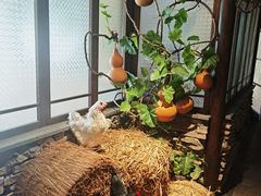 -洞庭土菜馆(天河北总店)