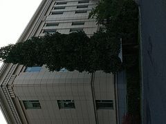 -钓鱼台国宾馆
