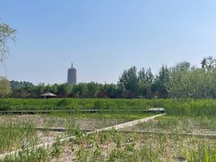 -永定河休闲森林公园