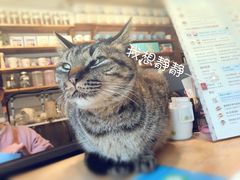 -猫的天空之城概念书店(苏州平江店)
