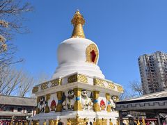 -护国法轮寺
