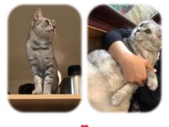 -隅cafe(傅厚岗店)