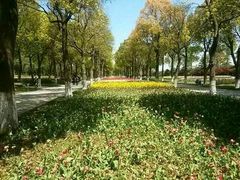android_upload_pic-上海鲜花港