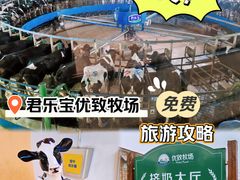 -君乐宝优致牧场