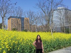 -杭州城北体育公园