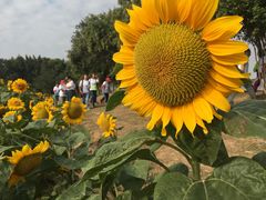 -艾溪湖湿地公园