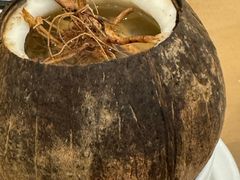 野生石仙桃椰子汤-大唐靓汤江门私房菜(景田店)