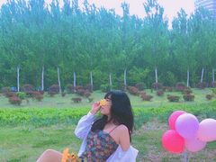 -长白岛森林公园