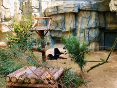 -泉州海丝野生动物世界