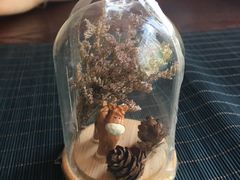 -碧露轩·大益茶体验馆(镇江路店)