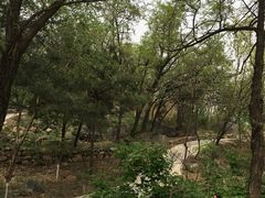 -阳台山自然风景区