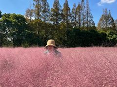 -嘉北郊野公园