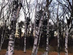 -长春市南湖公园