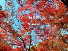 -秋霞圃