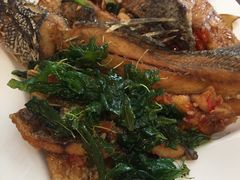 招牌鱼-Dang restaurant (patong phuket)
