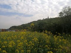 -苏州上方山国家森林公园