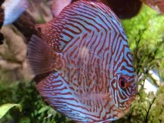 -上海海洋水族馆