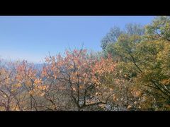 -妙峰山风景名胜区