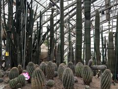 -南山植物园