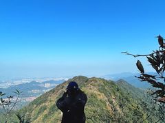 -午潮山国家森林公园
