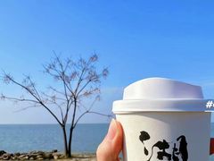 -苏州太湖西山岛开心农场