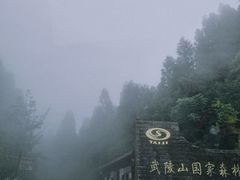 -武陵山森林公园