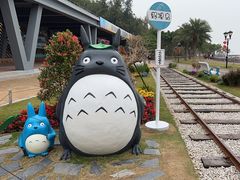 -野狸岛