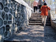 -白水寺森林公园