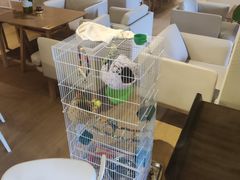 -品茗轩茶楼(江川路店)