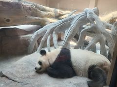 -宁波野生动物园