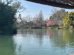 -西溪国家湿地公园