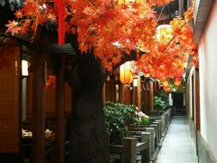 -龙泉小镇(科圣路店)