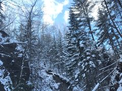 -峡谷浮石林景区