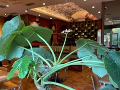 -安妮意大利餐厅(世贸天阶店)