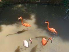 -威海华夏城景区