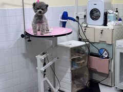 -Oh My Dog宠物沙龙(伊珊娜皮毛护理店)