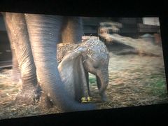 -博纳国际影城IMAX(中央大道店)