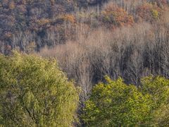 -玉渡山自然风景区