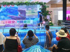 -鞍山万达广场