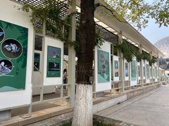 -陕西自然博物馆