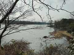 -长广溪湿地公园